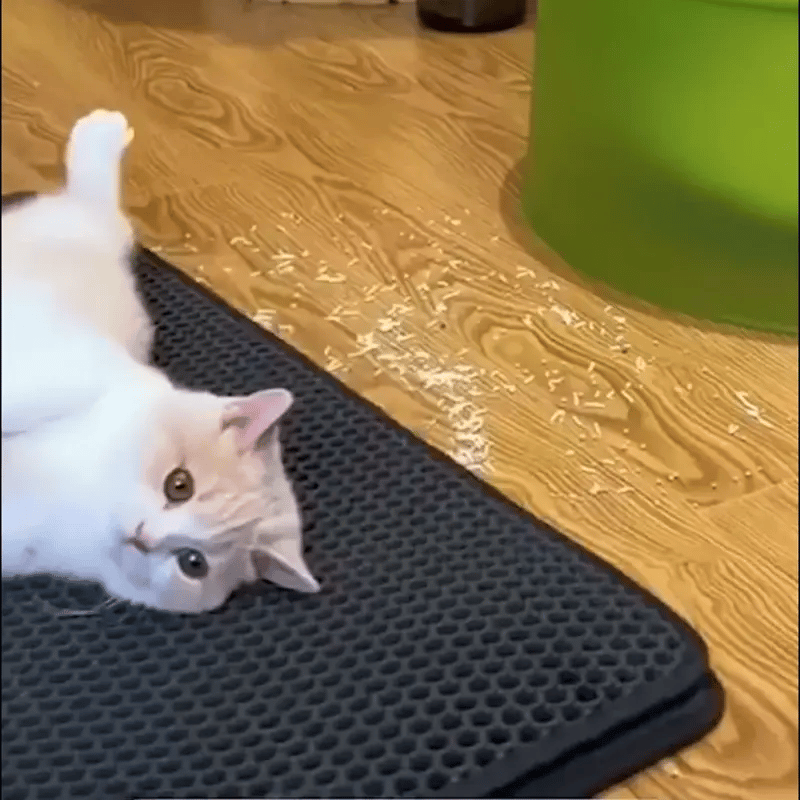 Alfombra para gatos